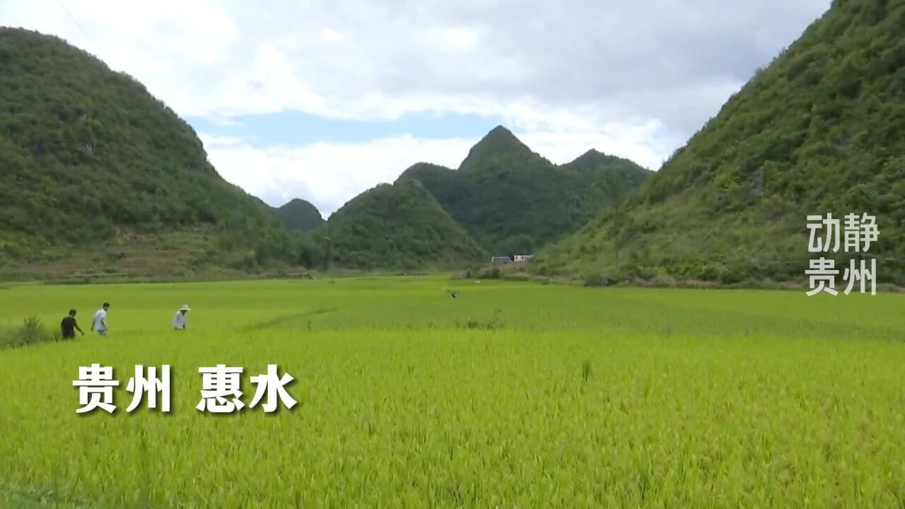 贵州惠水 巧用“消水洞” 抗旱保生产