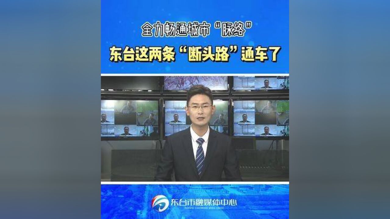 全力畅通城市“脉络”,东台这两条“断头路”通车了!