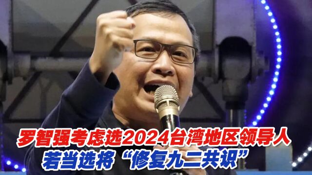 罗智强考虑选2024台湾地区领导人,若当选将“修复九二共识”