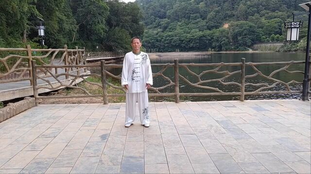 杨氏85式太极拳李伟新