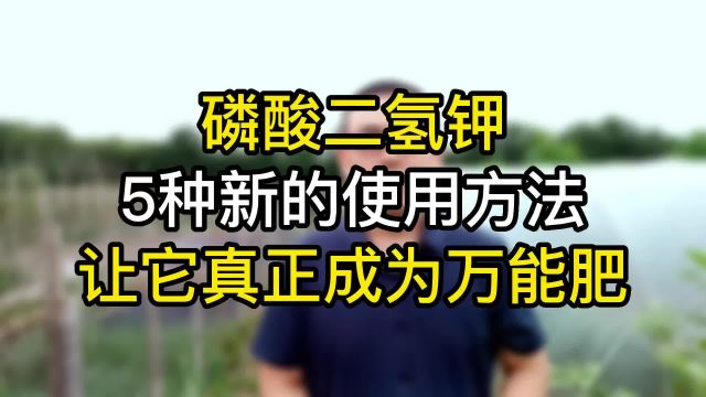 磷酸二氢钾5种新的使用方法,让它真正成为万能肥