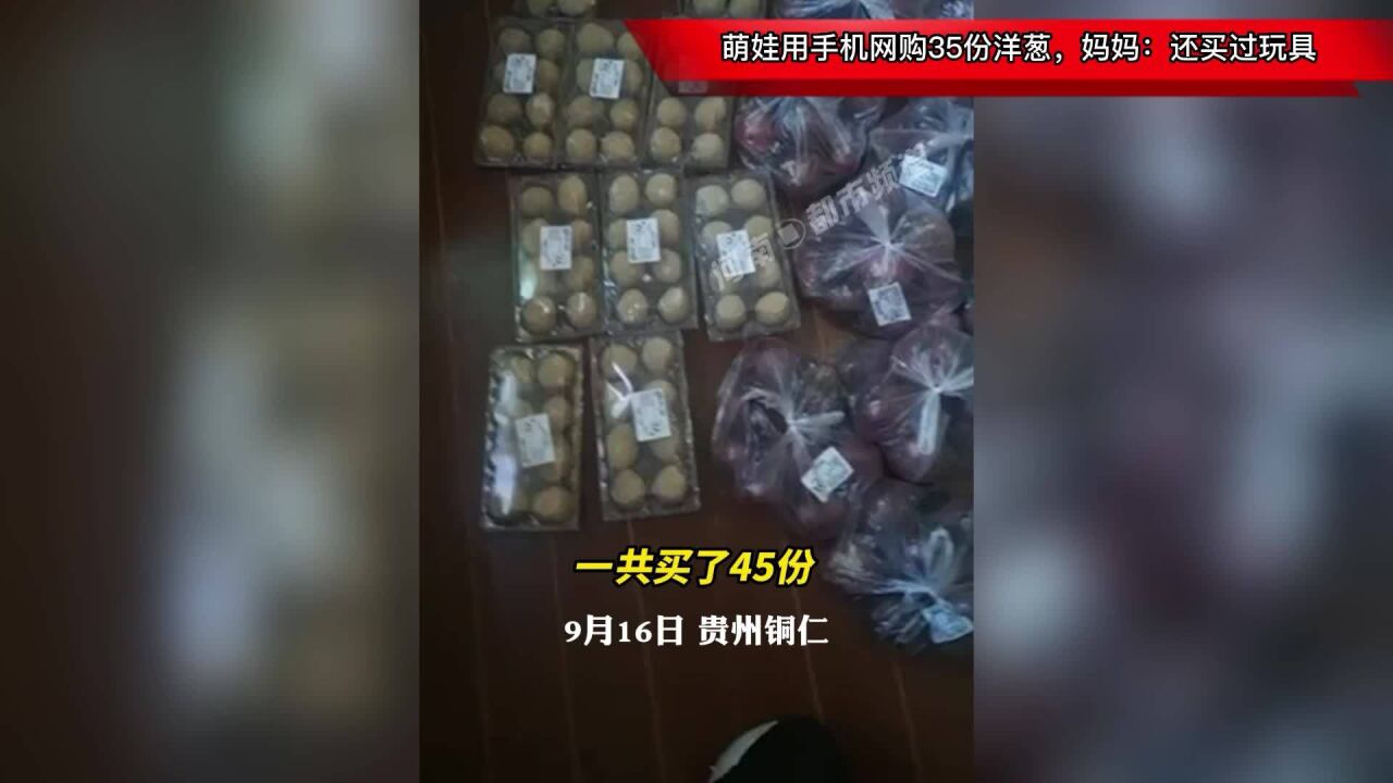 萌娃用手机网购35份洋葱,妈妈:还买过玩具!网友:天天炒洋葱给他吃