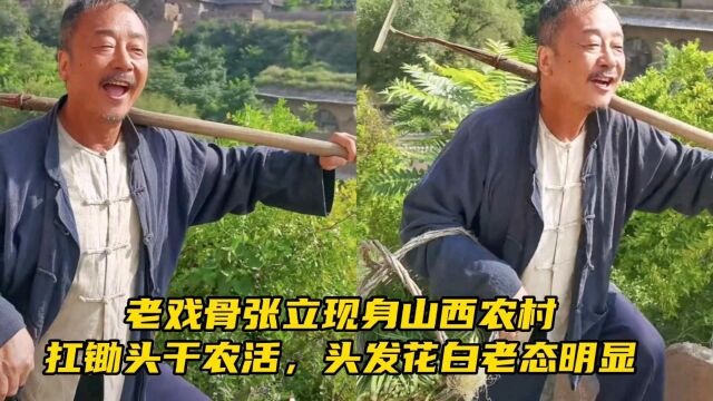 老戏骨张立现身山西农村,扛锄头干农活,头发花白老态明显