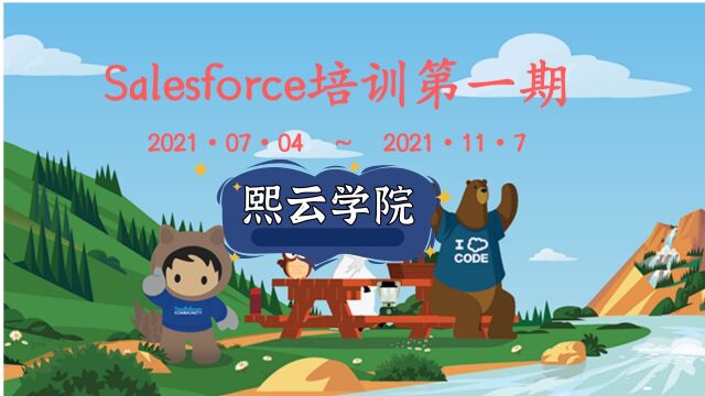 Salesforce培训初级012