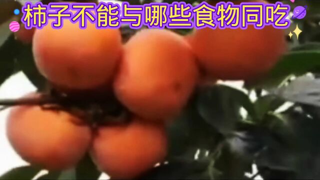 柿子不能与哪些食物同吃