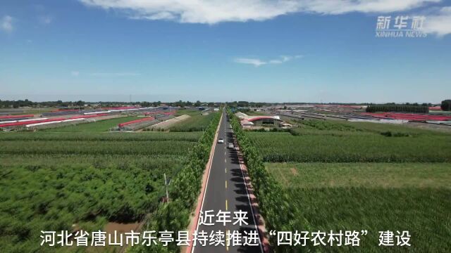 河北乐亭:持续推进“四好农村路”建设