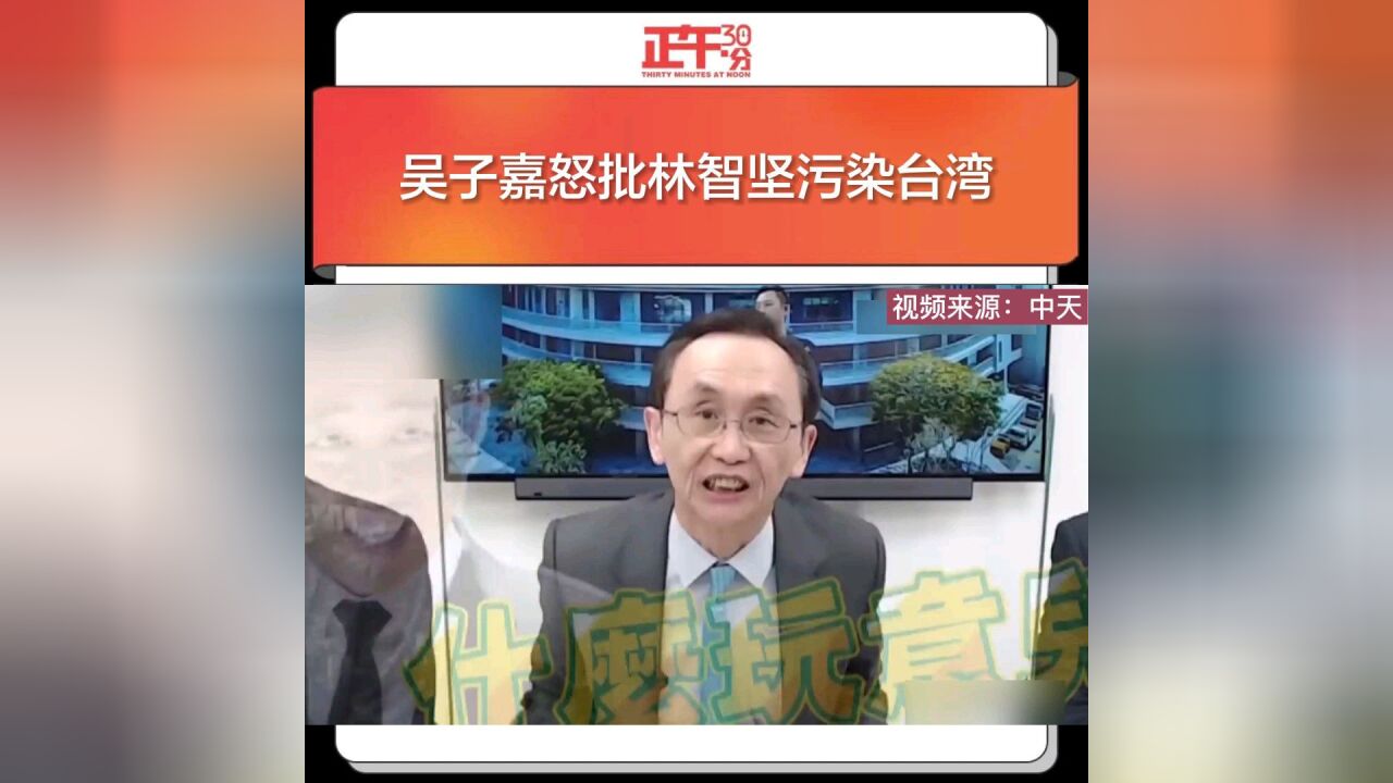 吴子嘉怒批林智坚污染台湾