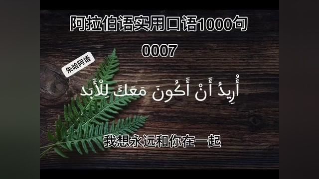 阿拉伯语实用口语1000句:0007 我想永远和你在一起.