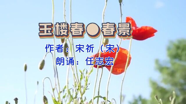 宋祈《玉楼春●春景》,任志宏老师朗诵