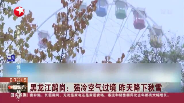 黑龙江鹤岗:强冷空气过境 昨天降下秋雪