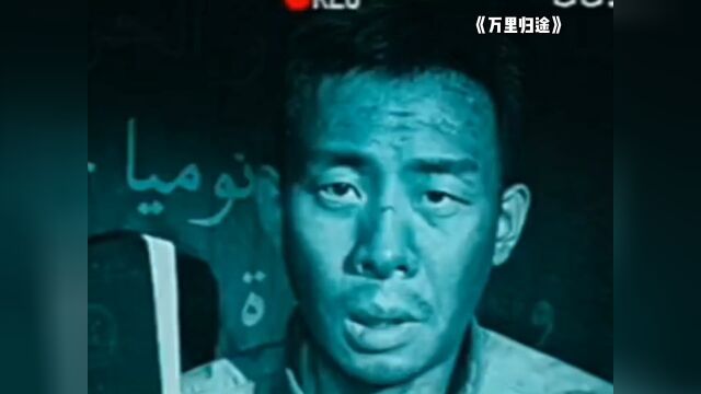 中国外交官撤侨大片,《万里归途》正在热映|根据真实撤侨事件改编,《万里归途》热映中