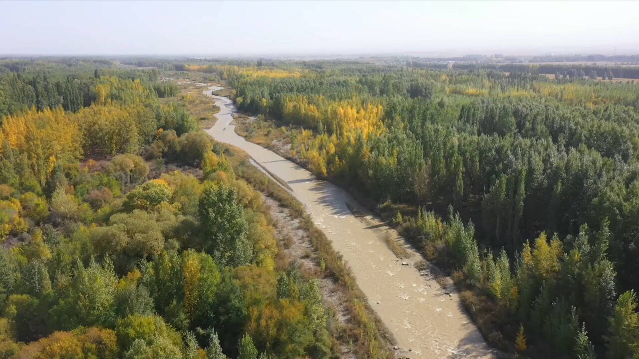 新疆博州:治理母亲河 共绘生态宜居新图景