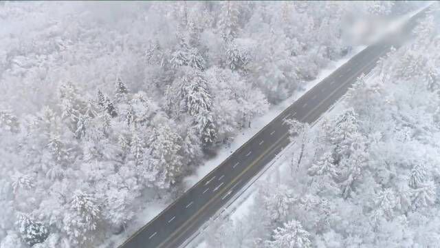 吉林长白山迎来降雪,白雪如玉,列松如翠,美不胜收.雪花簌簌飘落,覆盖在山上的每个角落长白山下雪了