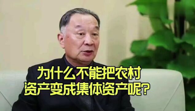 温铁军教授:为什么不能把农村资产变成集体资产呢?