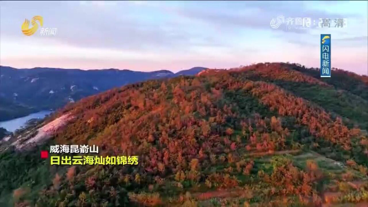 美翻!从渤海湾畔到黄海之滨,山东海岸线色彩斑斓,绘就多彩金秋