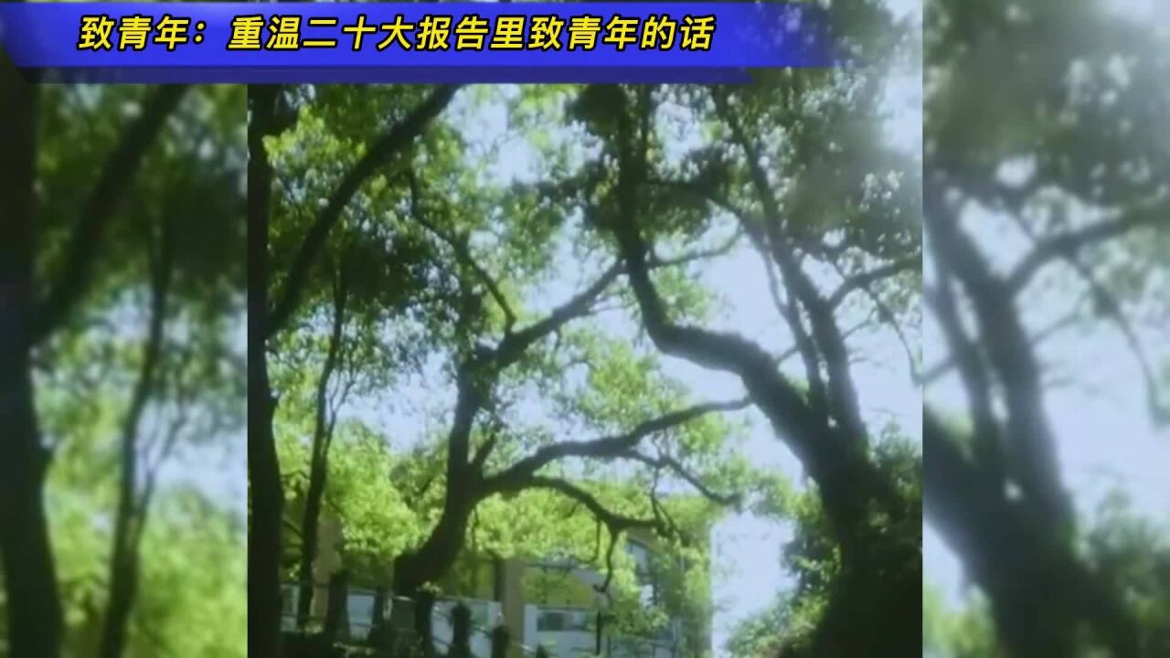 致青年:重温二十大报告里致青年的话