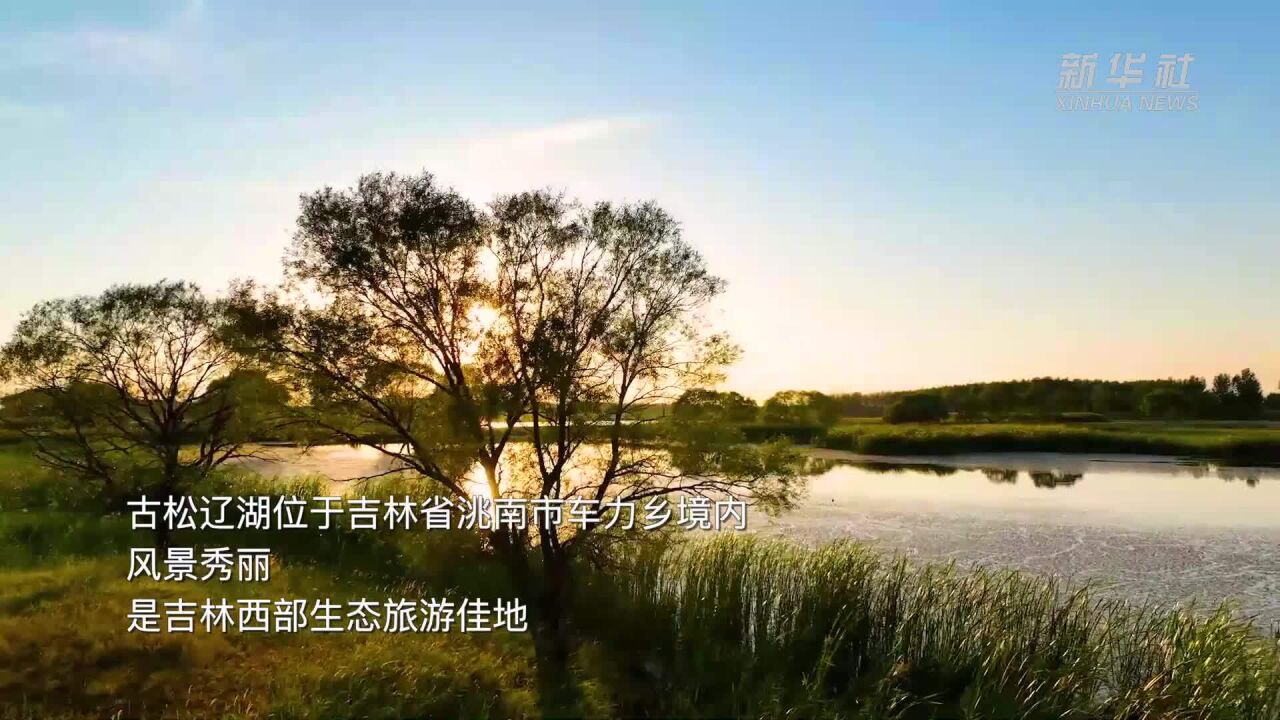 千城胜景|洮南:古松辽湖秋色旖旎