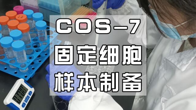 新手小白如何做固定细胞样本制备?沉浸式治愈系丝滑操作教程,不过里面有5个错误,您看出来了吗?挑错还有礼!大家来找茬!