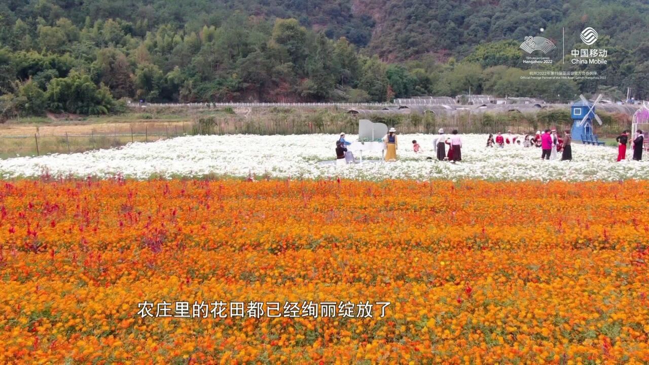 温州鹿城农庄“三花撞期” “美丽流量”撬动全域旅游