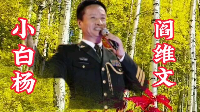 阎维文的一首经典老歌《小白杨》旋律优美,送给大家,超好听