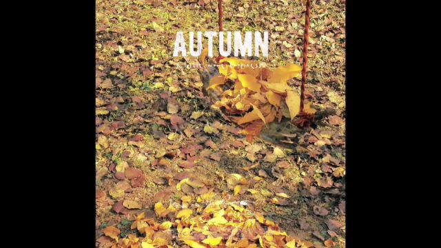 秋千autumn