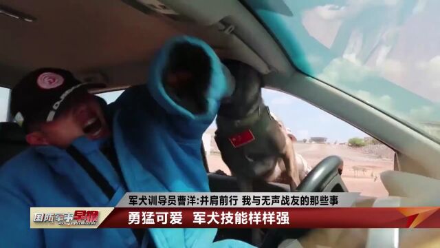 影像志丨军犬训导员曹洋:并肩前行 我与无声战友的那些事