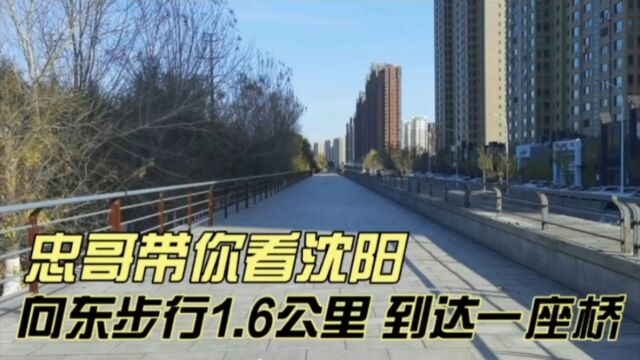 向东步行1.6公里,到达一座桥,忠哥带你看沈阳