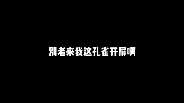 谁没事一天这么闲啊到底?#忘川风华录 #忘川风华录年度版本