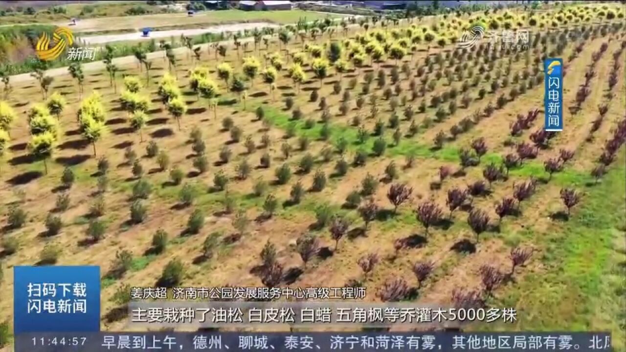 栽植苗木、提升景观绿化!济南加快建设183公里黄河生态风貌带