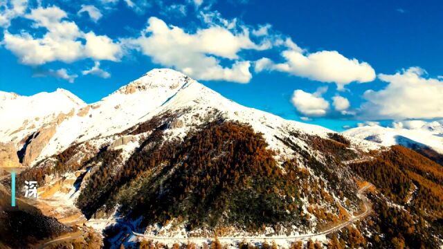 深秋遇初雪!云南白马雪山绝美秋冬景色