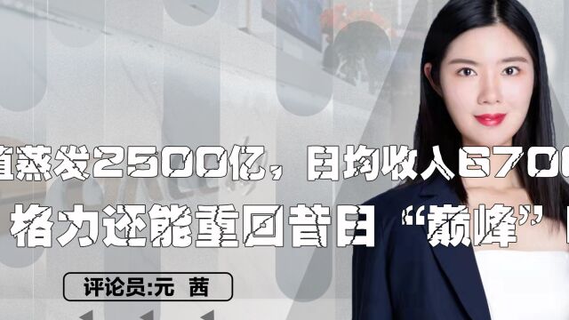 市值蒸发2500亿,日均收入6700万,格力还能重回昔日“巅峰”吗