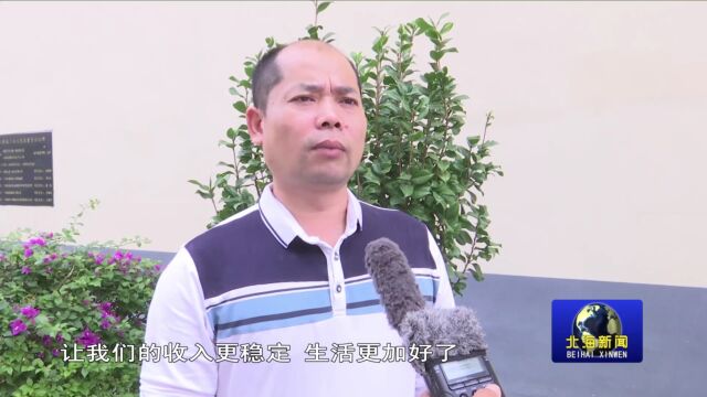 合浦县:发展豇豆深加工助力农民增收