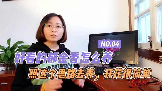 郁金香种球怎么养护种植,照这思路去养殖,不仅上手快,开花也快