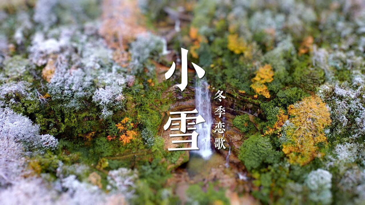 小雪到了!