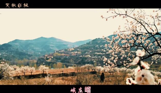 原创歌曲《淄川谣》词王连强,曲朱连良,演唱王爱娟,视频宋志刚.