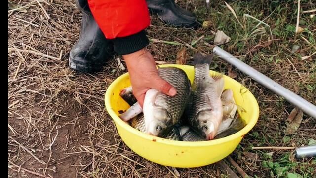 第十二集:荒岛垂钓100天、这个男人把钓的野生鱼全部送给了老人 #户外钓鱼 #钓鱼那些事 #钓鱼人就是这么疯狂 #快乐垂钓