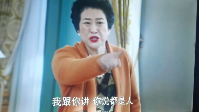 丈母娘与女婿水火不容 越看越火