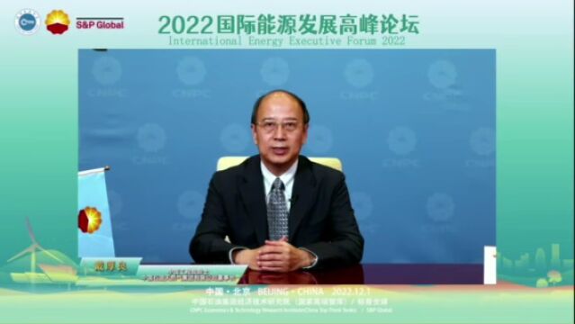 30余位知名专家,3份重磅报告!2022国际能源发展高峰论坛成功举办