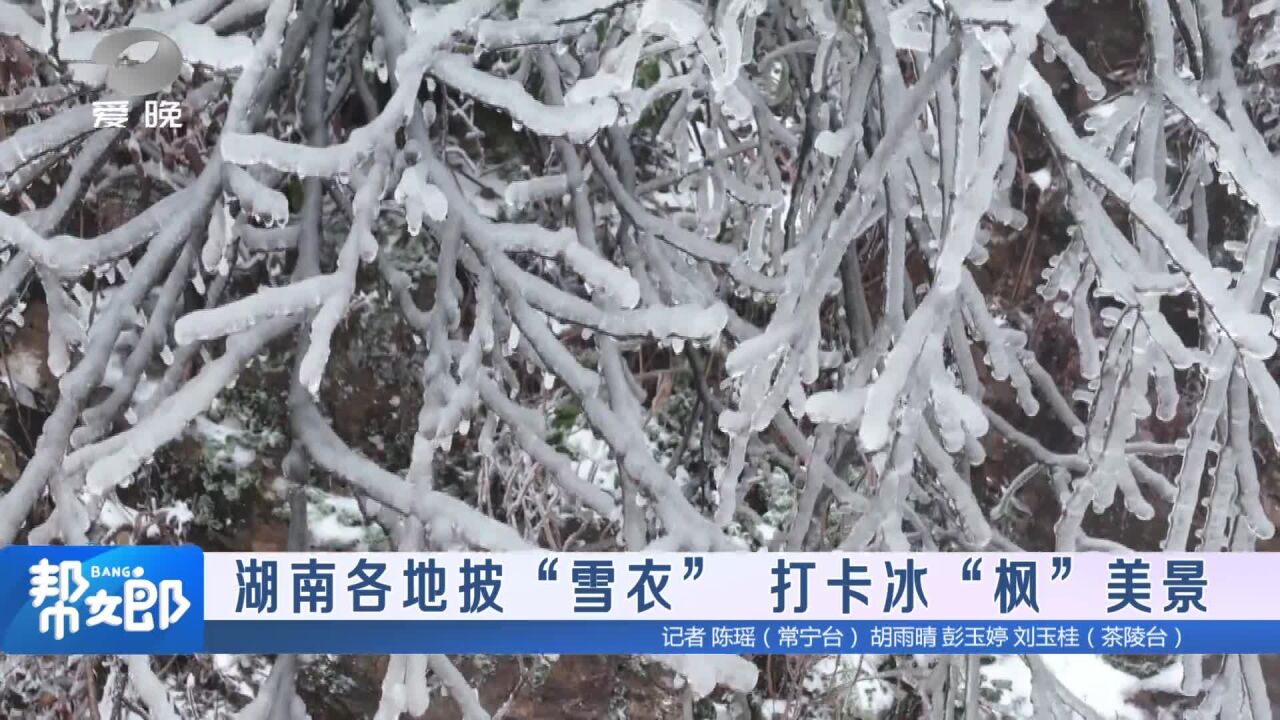 湖南各地披“雪衣” 打卡冰“枫”美景