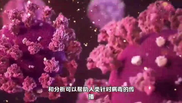 新冠病毒选择性突变与进化趋势动态【潘学峰博主】