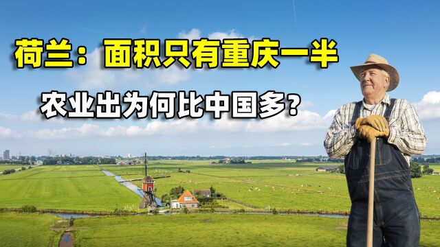 欧洲小钢炮荷兰:面积只有重庆的一半,农业出口凭什么比中国多?