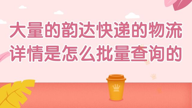 韵达快运未签收单号的物流信息可以在电脑上批量查询吗?