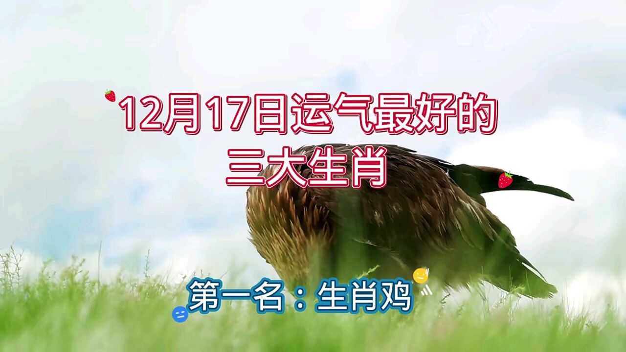 12月17日运气最好的三大生肖