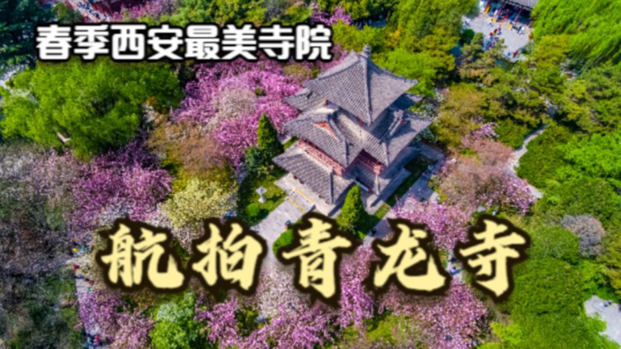 航拍西安青龙寺,日本留学生在此学成回国开宗立派,今以樱花著称