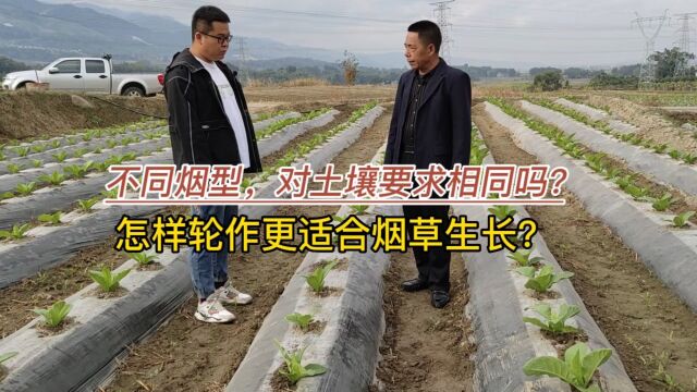 不同烟型对土壤的要求相同吗?怎样轮作更适合烟草生长呢?