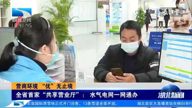 湖北首家“共享营业厅”: 水气电网一网通办