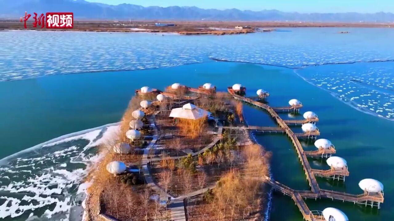 宁夏石嘴山:雪后沙湖别样美