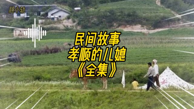 民间故事:孝顺的儿媳