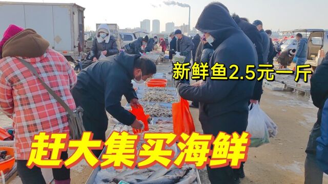 山东农村大集,地摊海鲜上百种,10块钱买一盆,价格便宜到吃惊