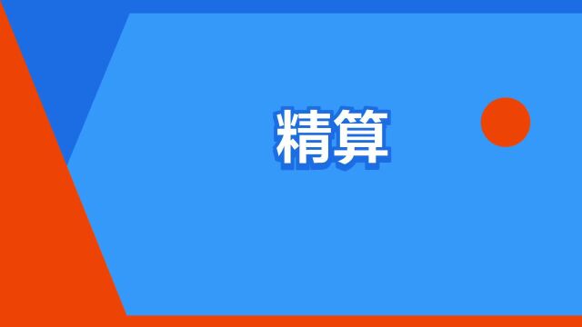 “精算”是什么意思?